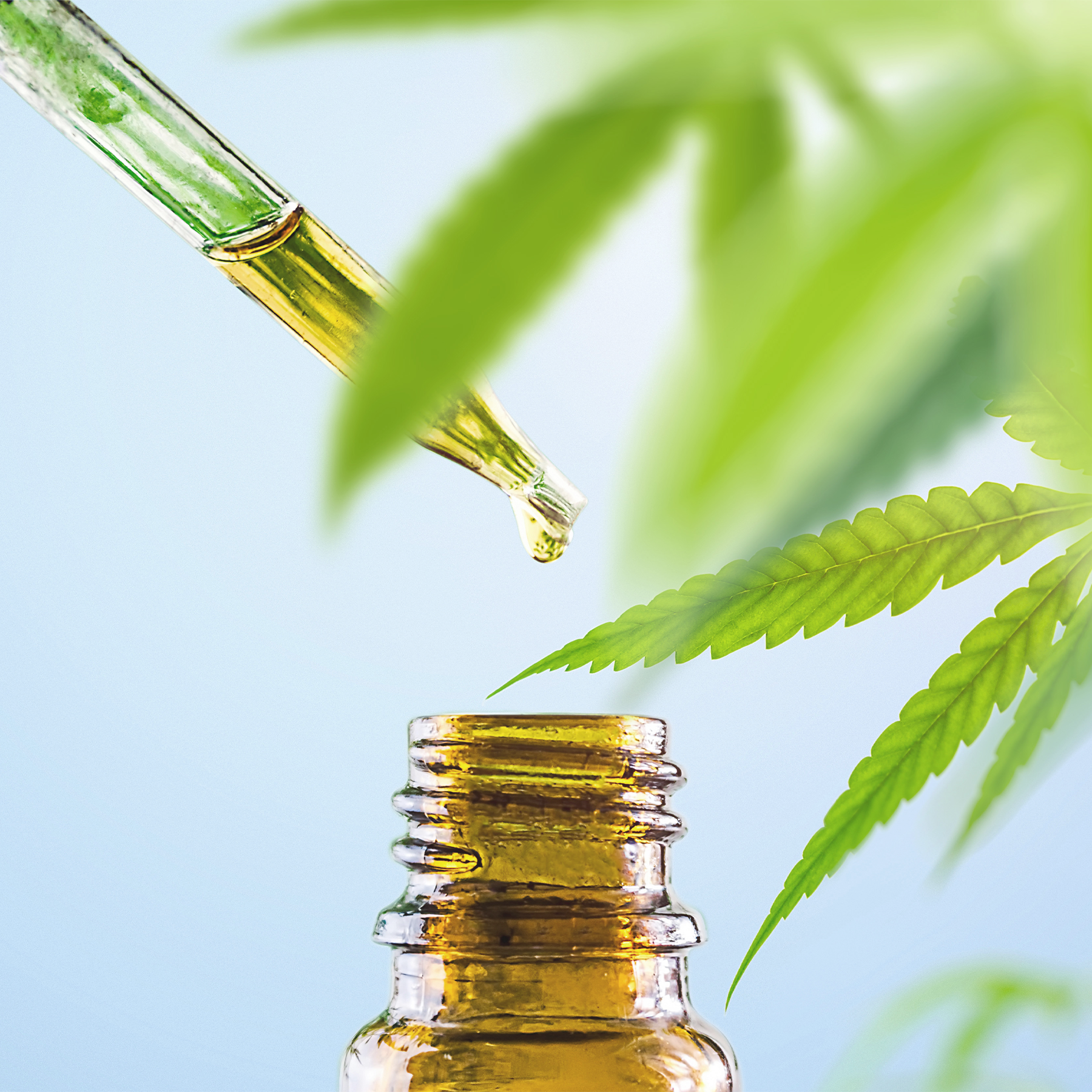 Hemp Leaves CBD Oil